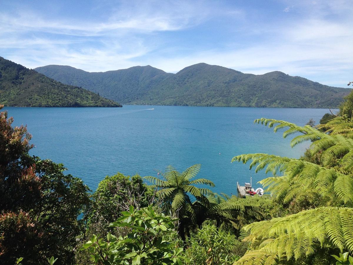 Punga Cove Resort Endeavour Inlet エクステリア 写真
