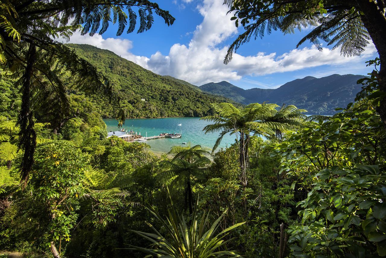 Punga Cove Resort Endeavour Inlet エクステリア 写真