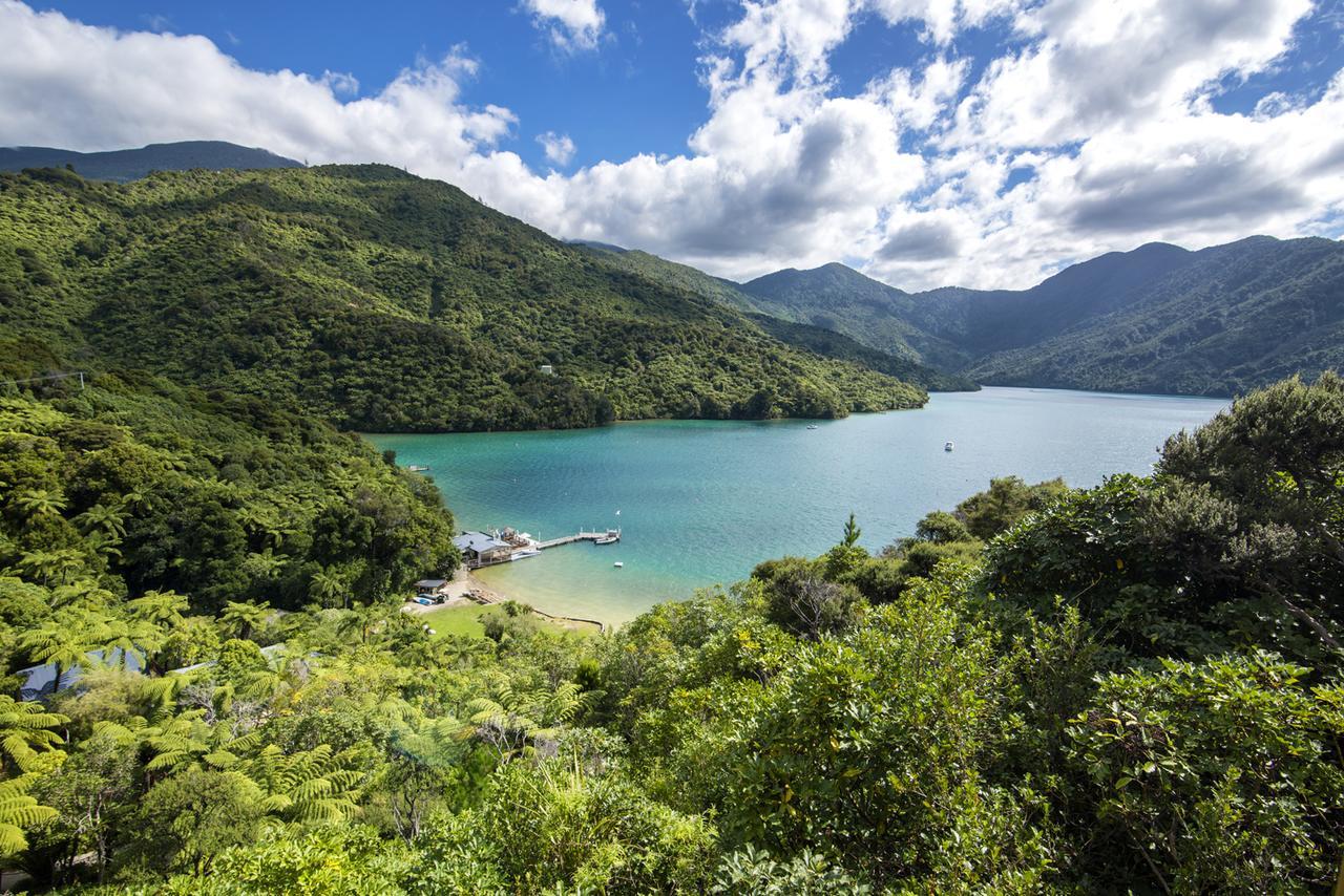 Punga Cove Resort Endeavour Inlet エクステリア 写真